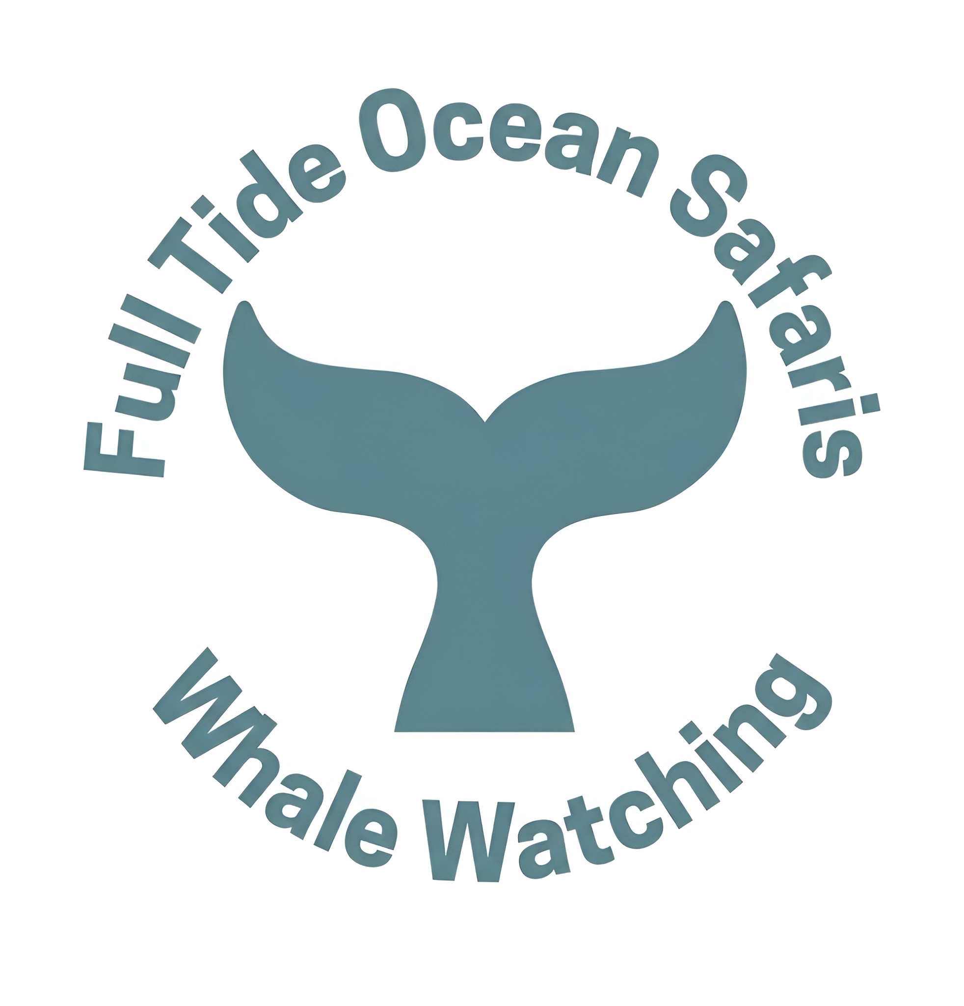 Full Tide Ocean Safaris
